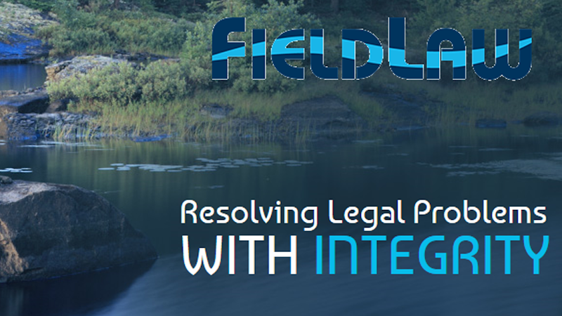 172487 field law p.a