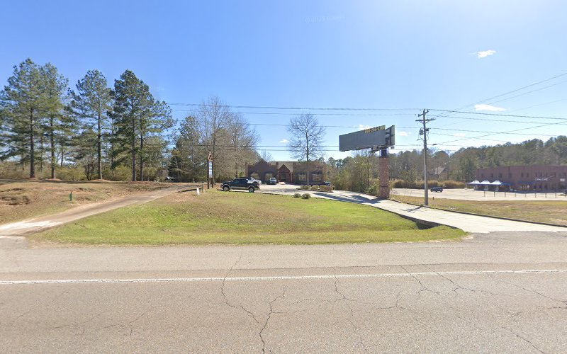 172733 fillingane law firm pllc