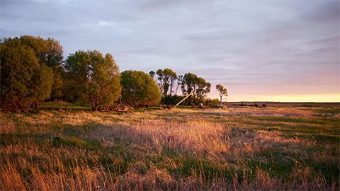 Feature image