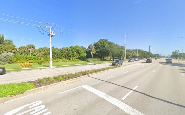 174784 florida guardianship services llc 768x480