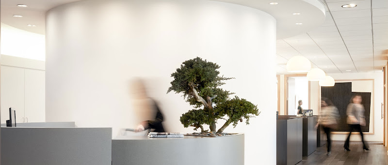 175514 folger levin llp