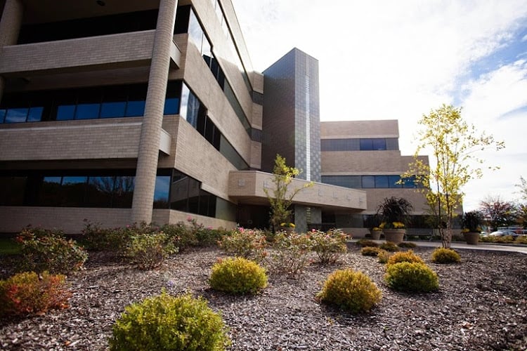 Feature image