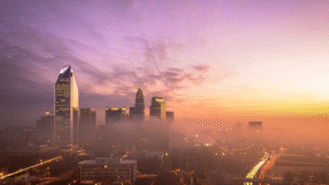 Feature image