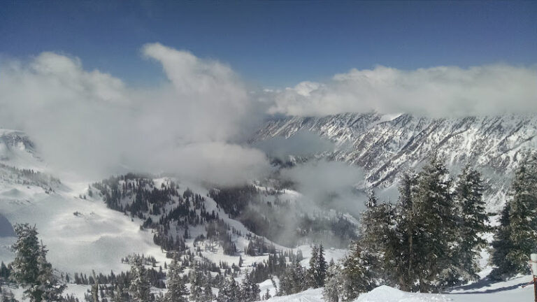 178170 fred p. lenhardt attorney at law 768x432