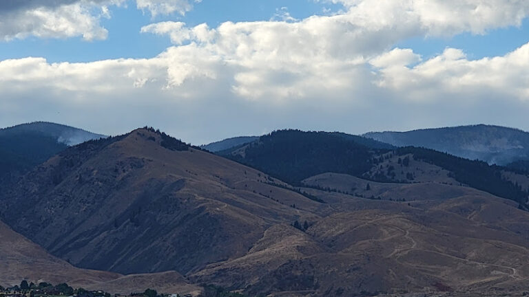 Feature image