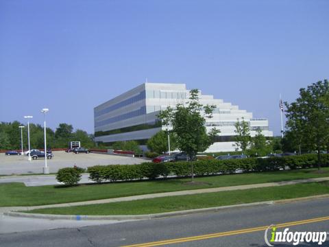 Feature image