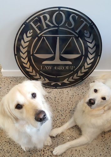 179652 frost law group llc