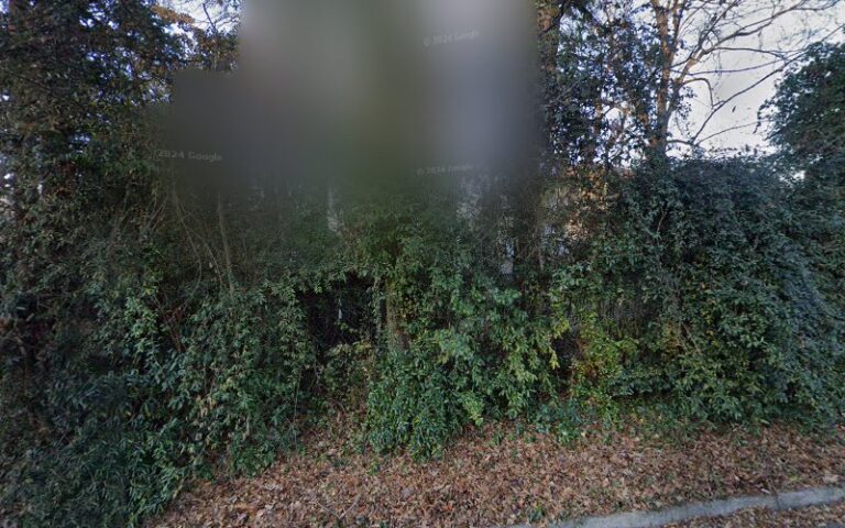Feature image