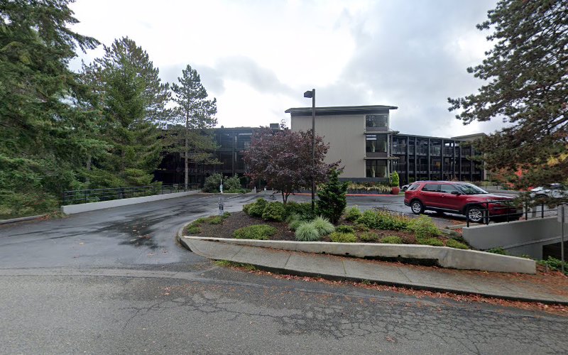 187150 gingold law firm pllc