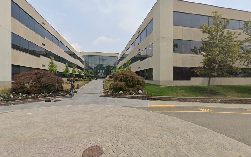 189533 goldstein kelin llc