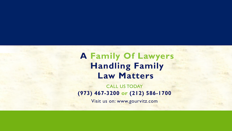 190987 gourvitz gourvitz llc