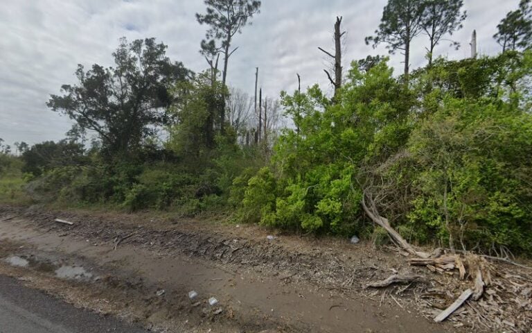 Feature image