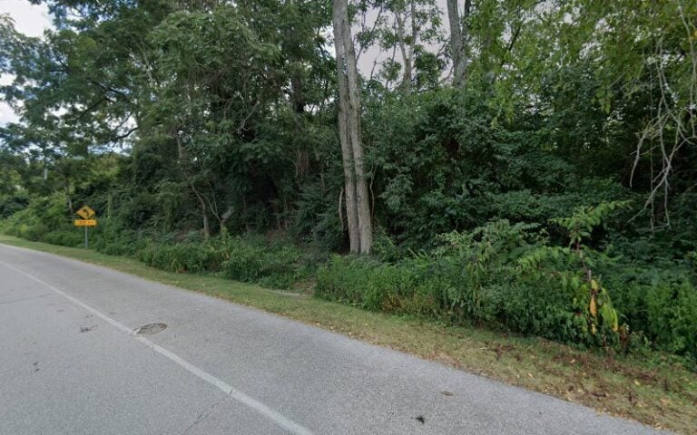 Feature image