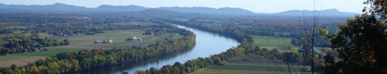 194987 gruber tripp llc 768x148