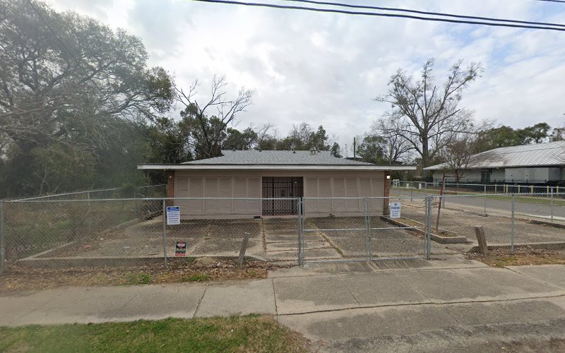 197687 hall sidney