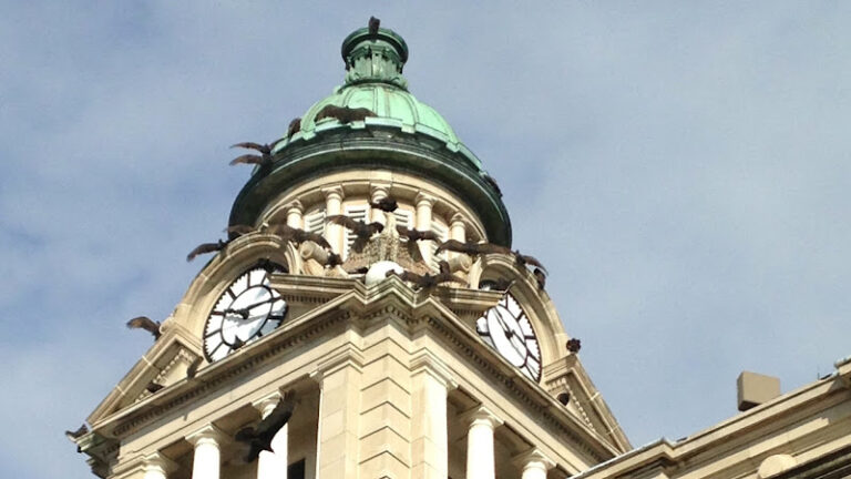 Feature image