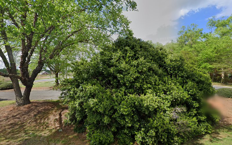 204286 henderson henderson