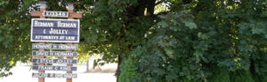 Feature image