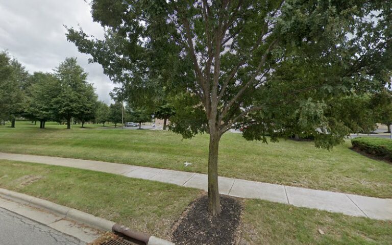 206160 hickman lowder co. l.p.a 768x480