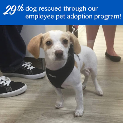 206346 higbee associates