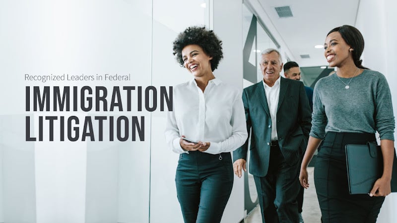 208561 immpact litigation