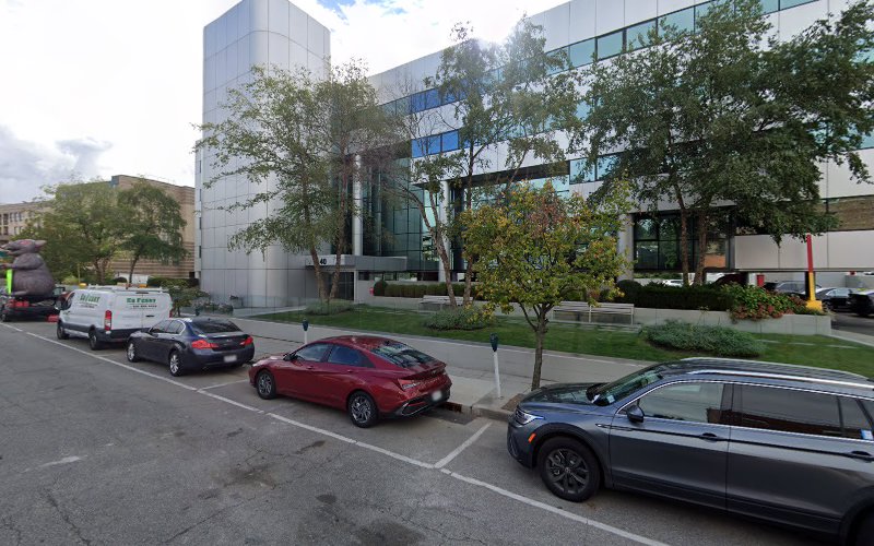 208894 hollander strauss llp