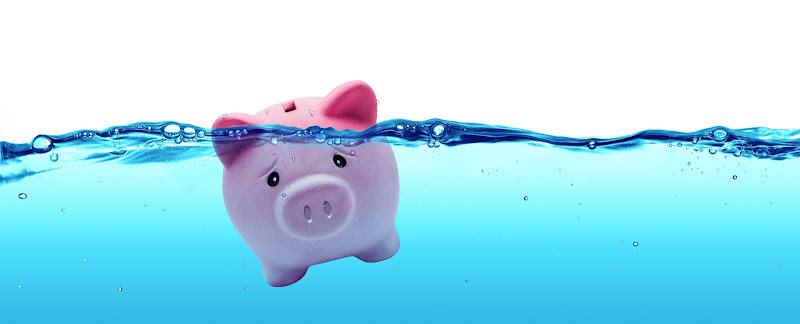 213932 idaho bankruptcy firm