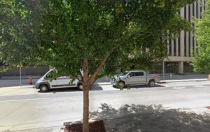 Feature image