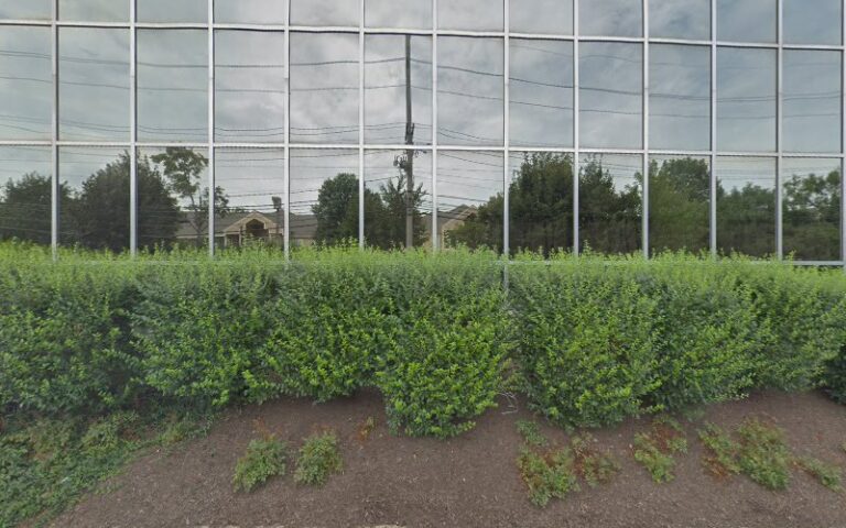 Feature image