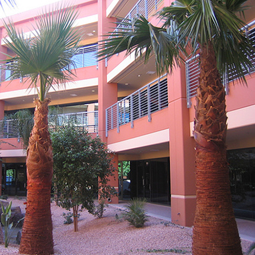 Feature image