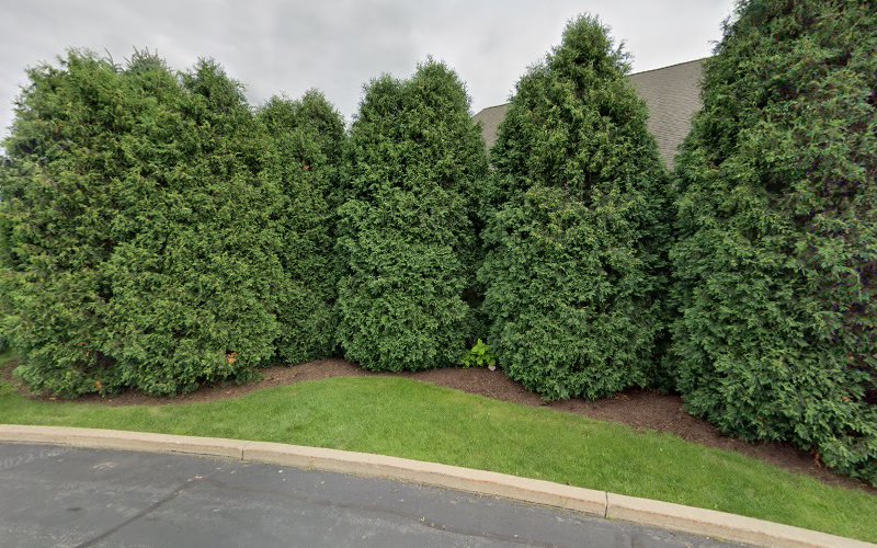 229544 john m. spesia