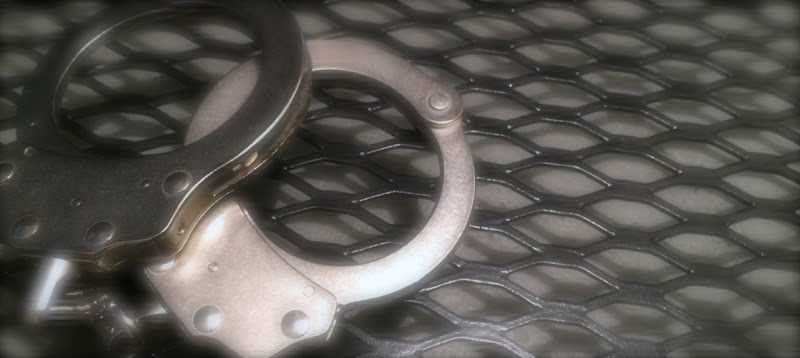 231033 johnson criminal defense
