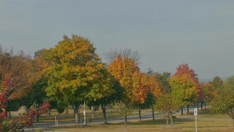 231659 johnston business law group 768x433