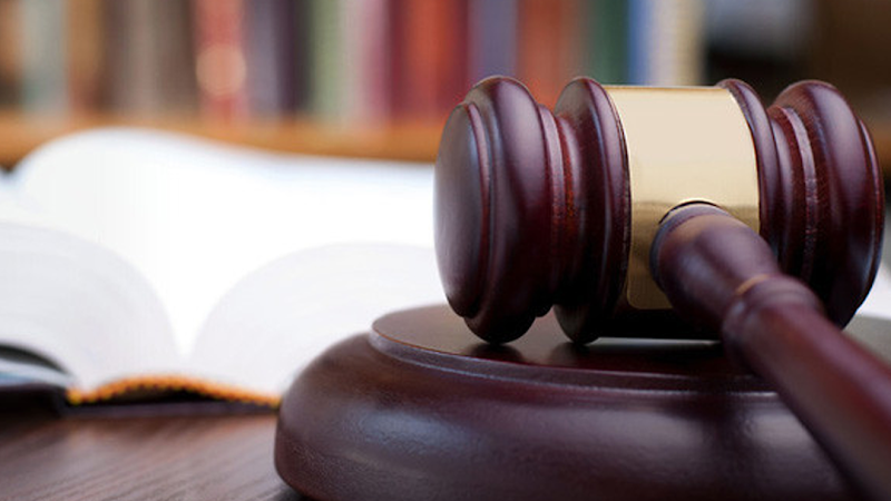 234531 josephine r sbrocca attorney at law