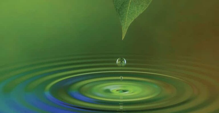 235736 julie parker associates llc 768x398