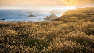 Feature image