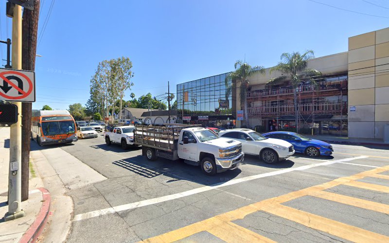 239101 kathy alfred law office