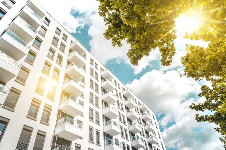 239433 katzman chandler