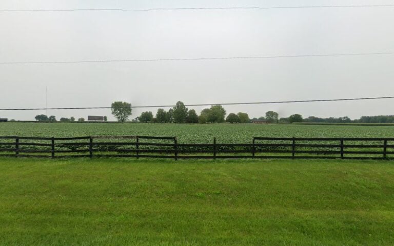 Feature image