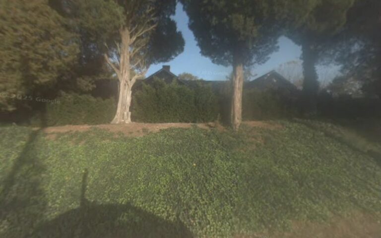 Feature image