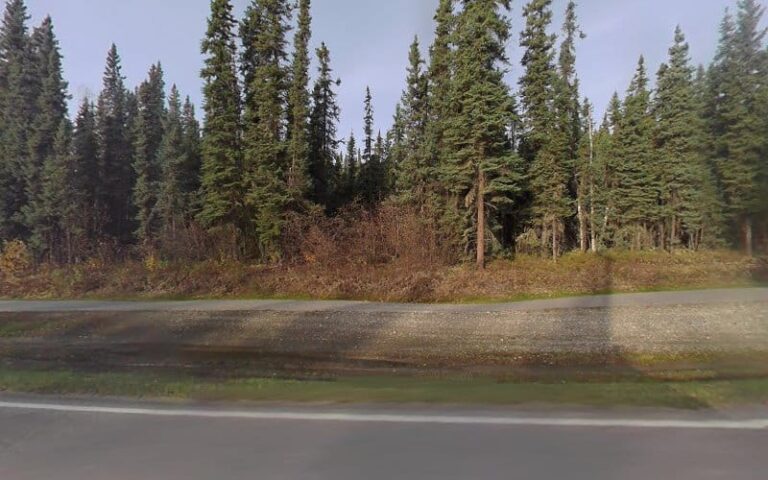 244292 kibrowser 768x480