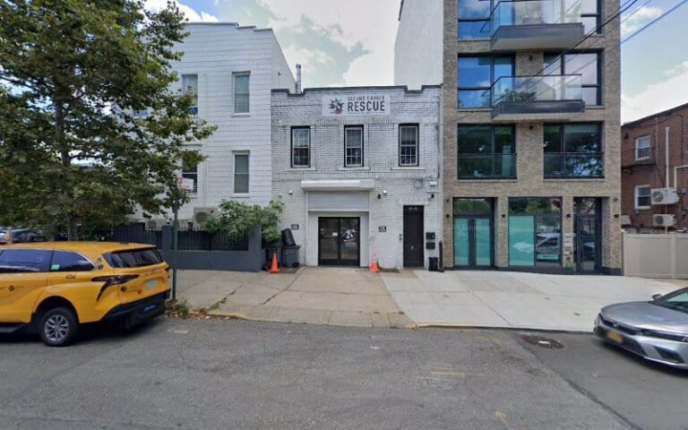 245115 king king attorneys 768x480