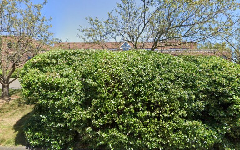 245707 kipness romano attorneys at law 768x480