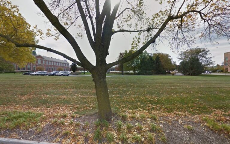 247907 kohner mann kailas s.c 768x480