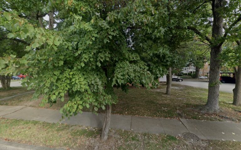 251333 la fratta law 768x480