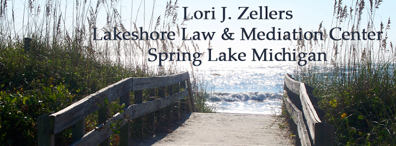 252110 lakeshore law and mediation center plc