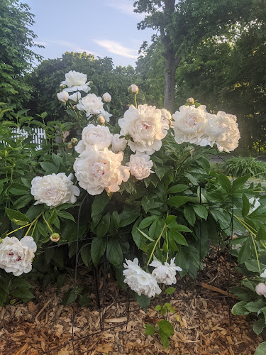 Feature image