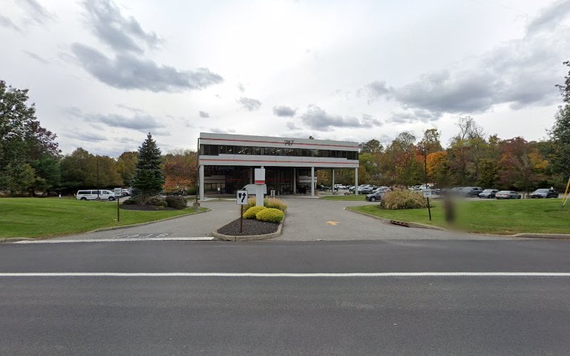 255203 lauterbach garfinkel damast hollander llp