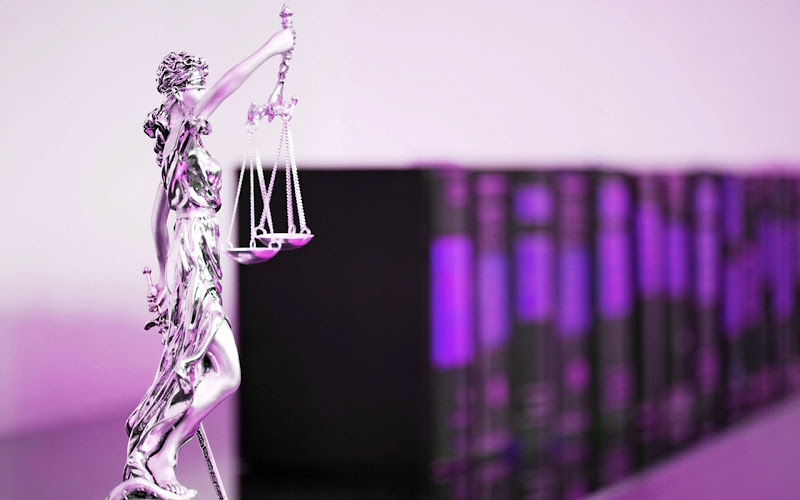255918 law lady law