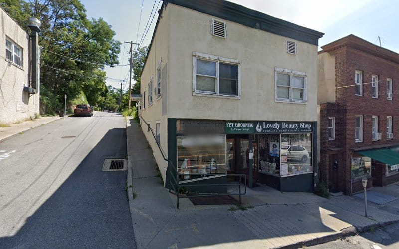 256848 law office of andrew falk